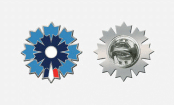 Pin's bleuet