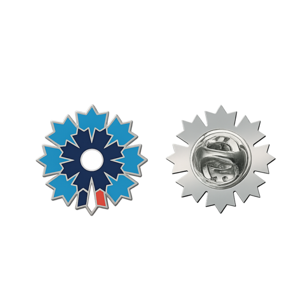 Pin's Argenté Bleuet de France