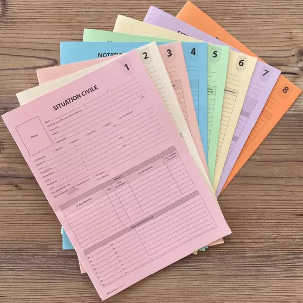Lot de 8 sous-chemises pour dossier individuel d'agent