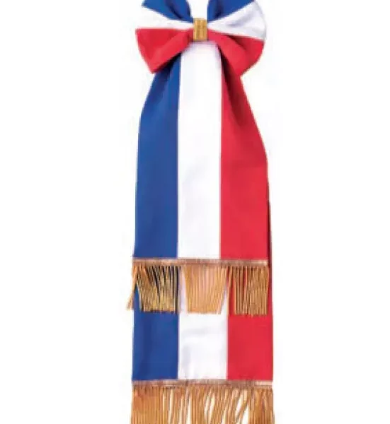 Cravate tricolore