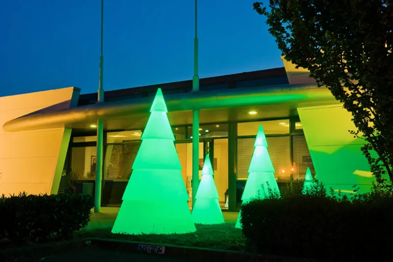 Sapin lumineux - vert