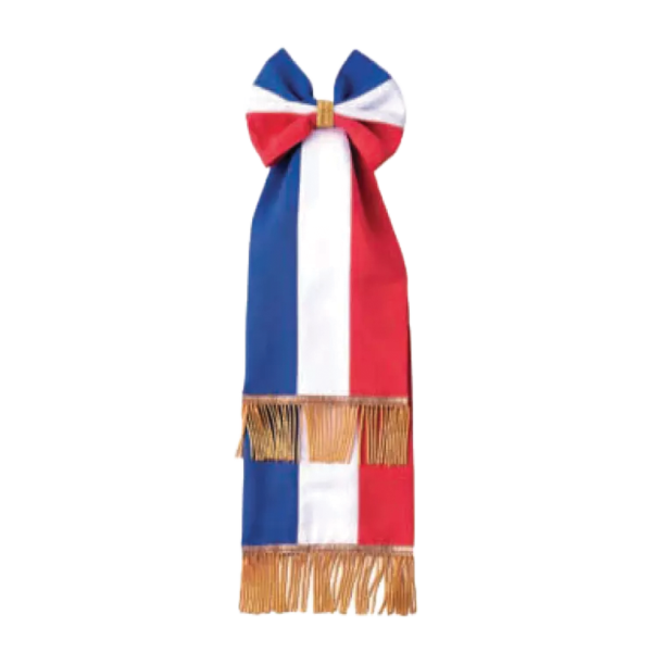 Cravate tricolore