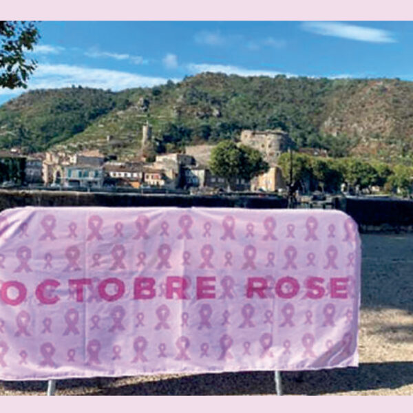Housse pour barrière de sécurité - octobre rose