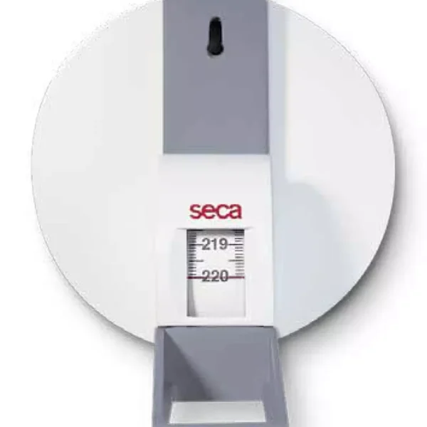 Toise murale SECA 206